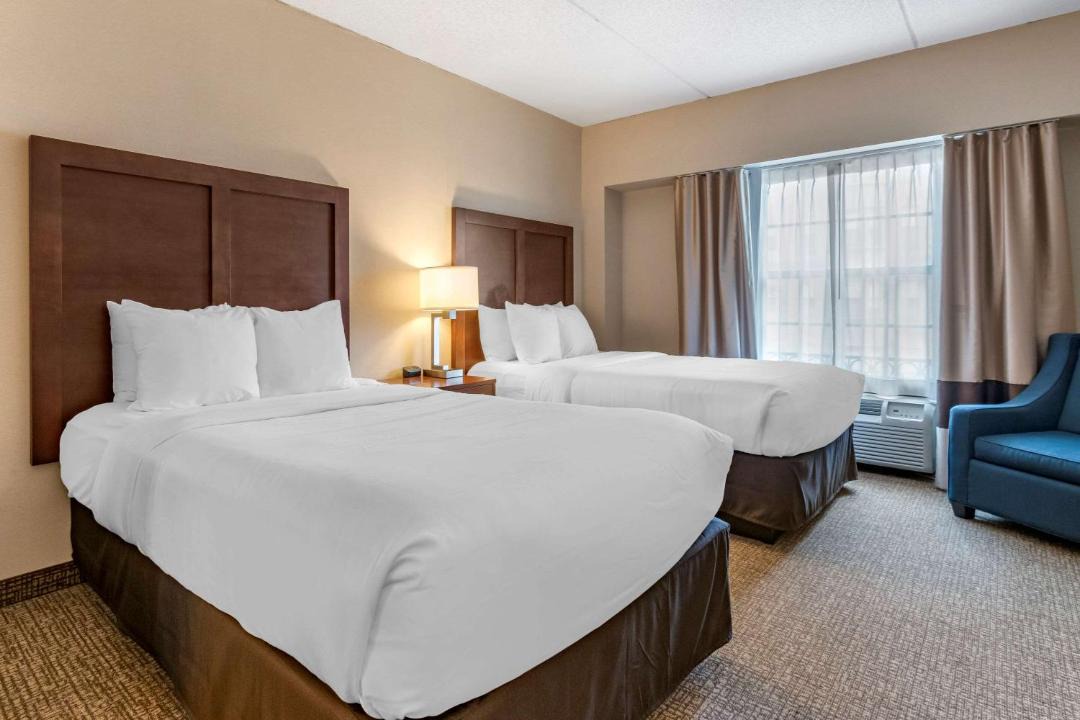 Photo of Others in Carlisle