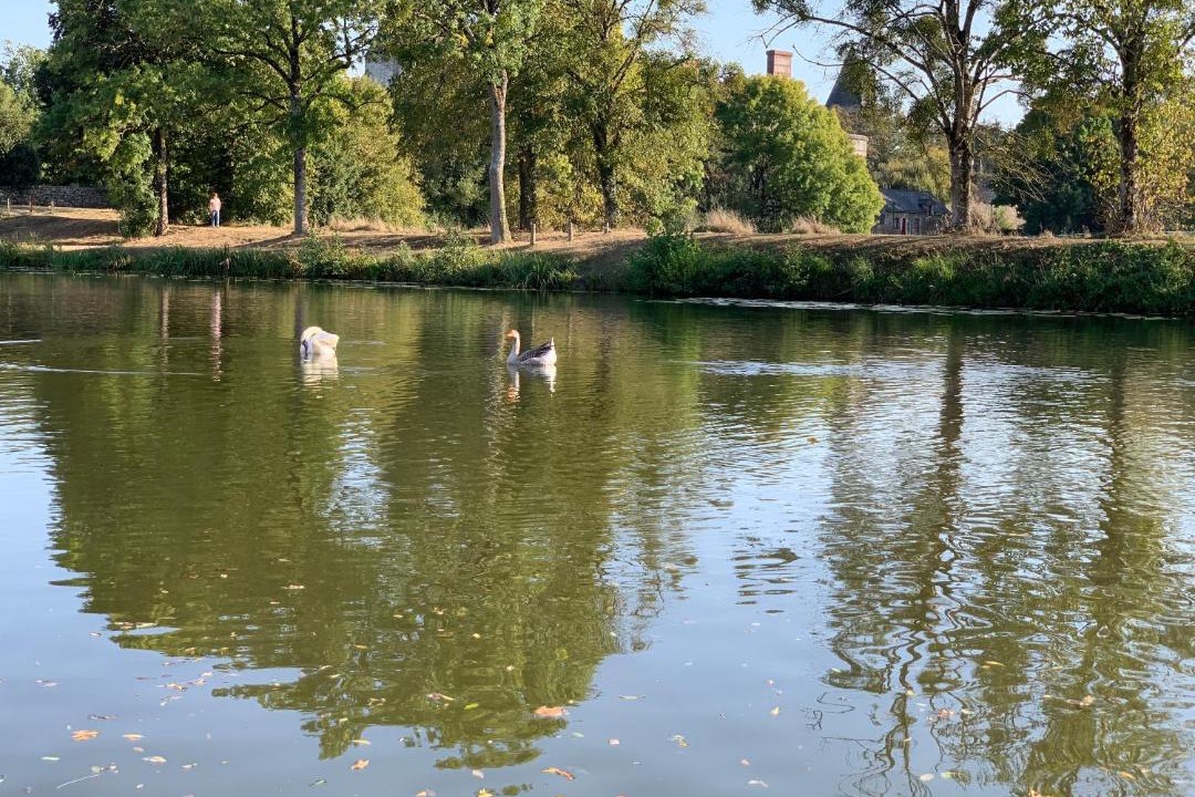 Photo of Others in Blain