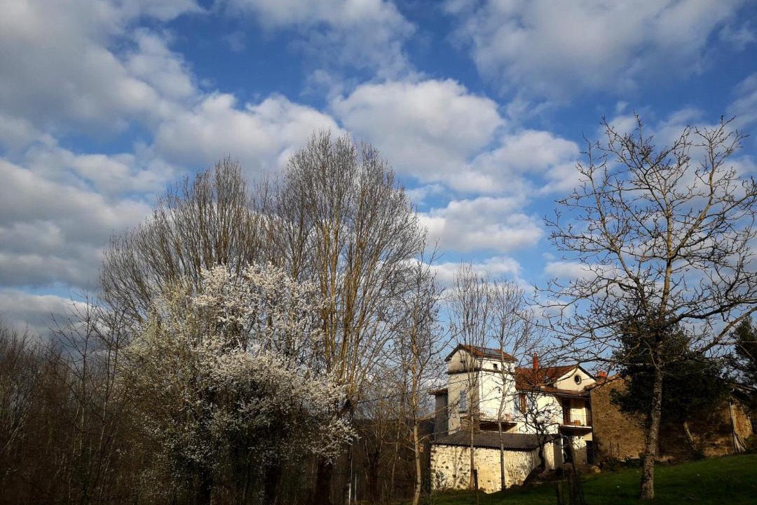 Photo of Others in Aubin