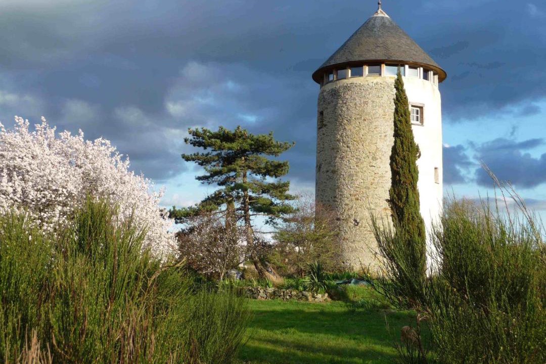 Photo of Others in Rochefort-sur-Loire