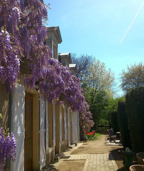 Photo of Others in Varennes-Vauzelles