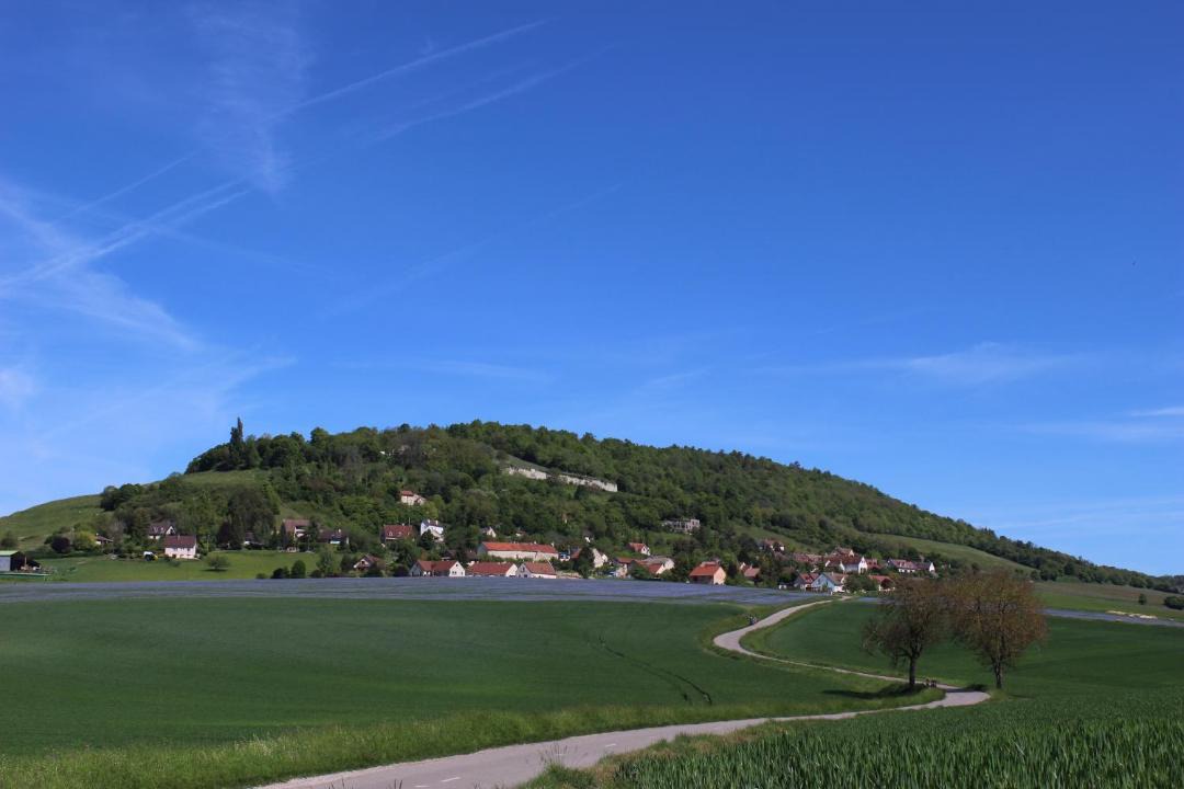 Photo of Others in Curtil-Vergy