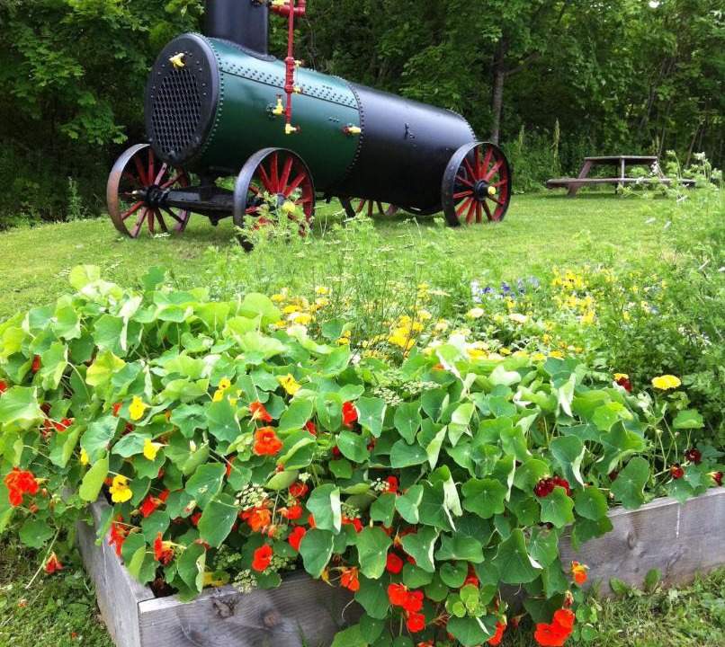 Photo of Others in Tatamagouche