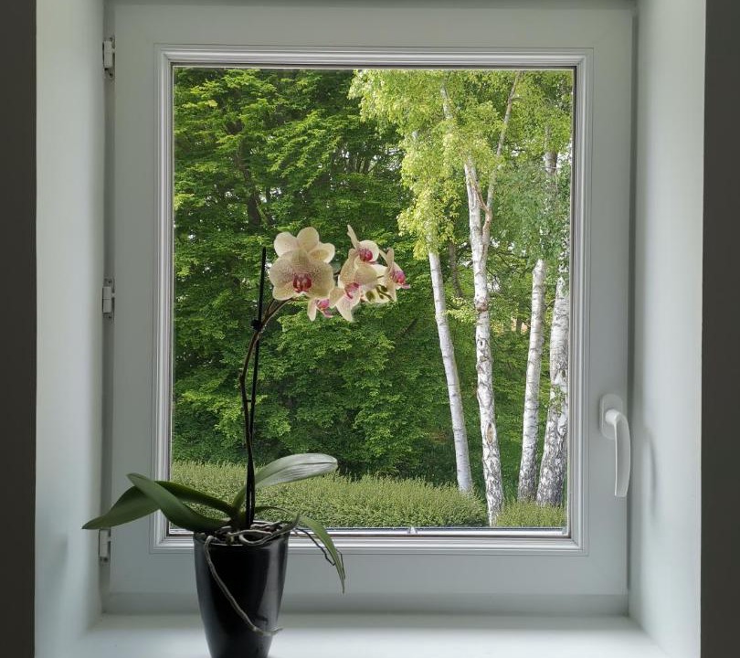 Photo of Others in Colleville-Montgomery