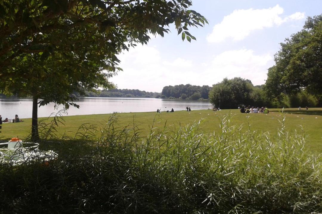 Photo of Others in Mesnard-la-Barotiere