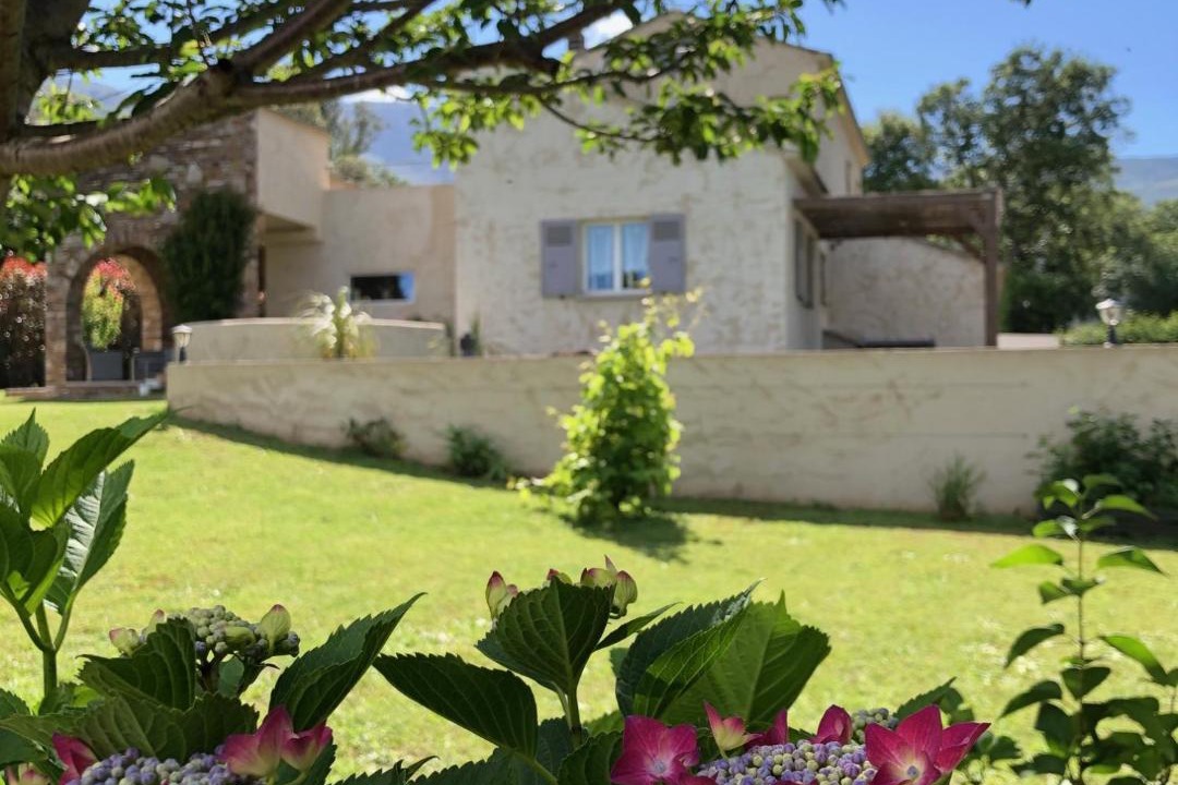 Photo of Others in Sisco