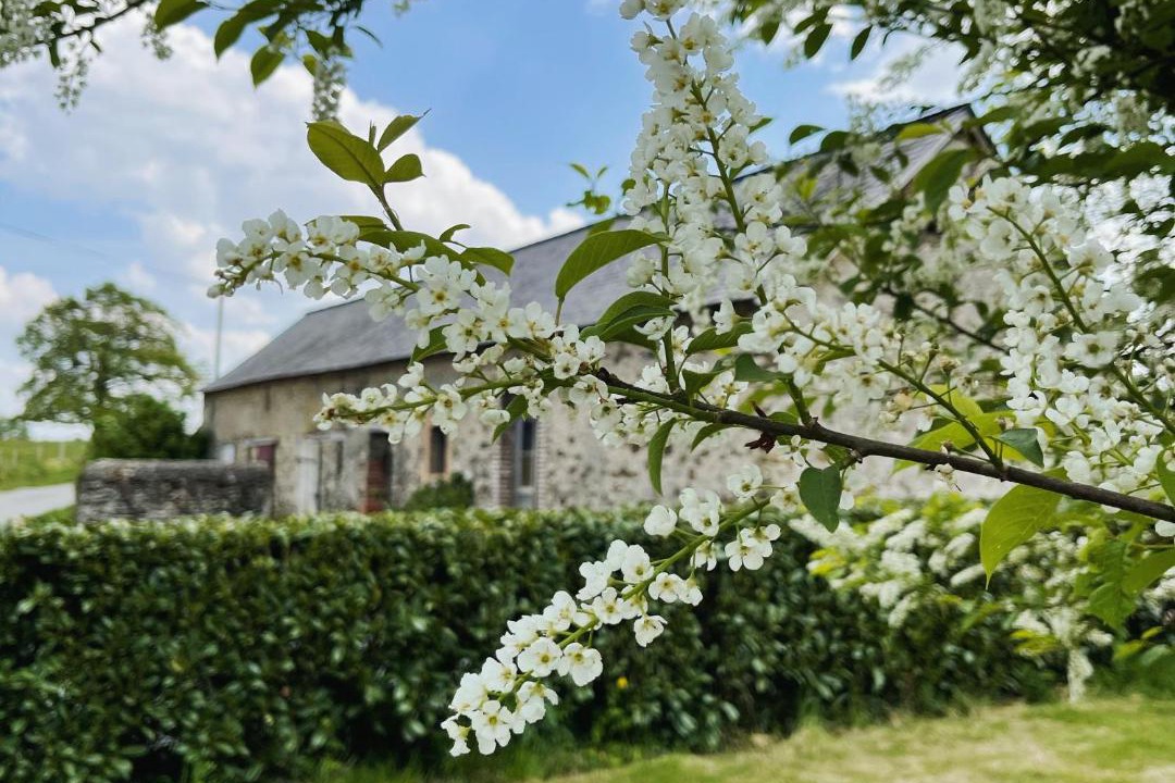Photo of Buildings in Astille