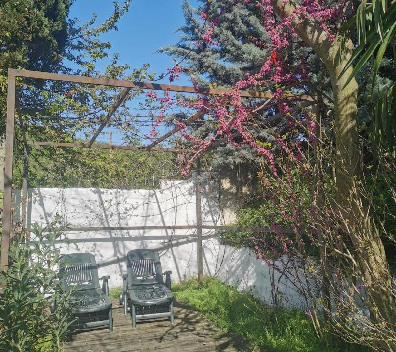 Photo of Others in Golovinka