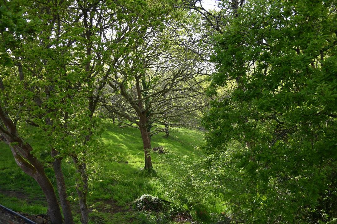 Photo of Others in Ploulech