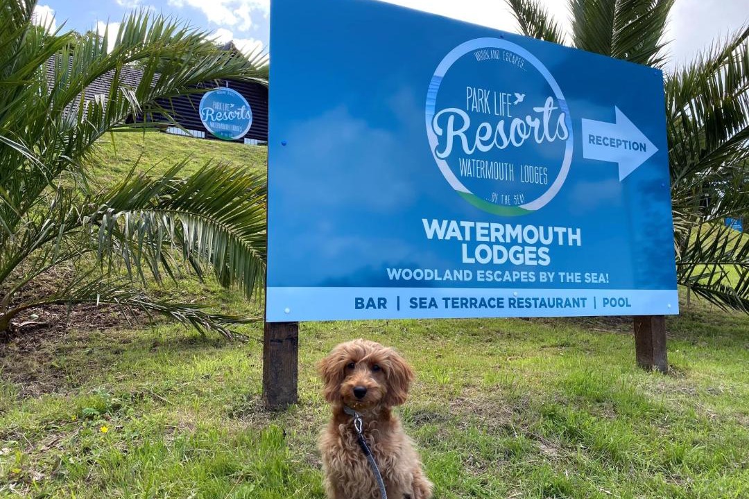 Photo of Others in Watermouth