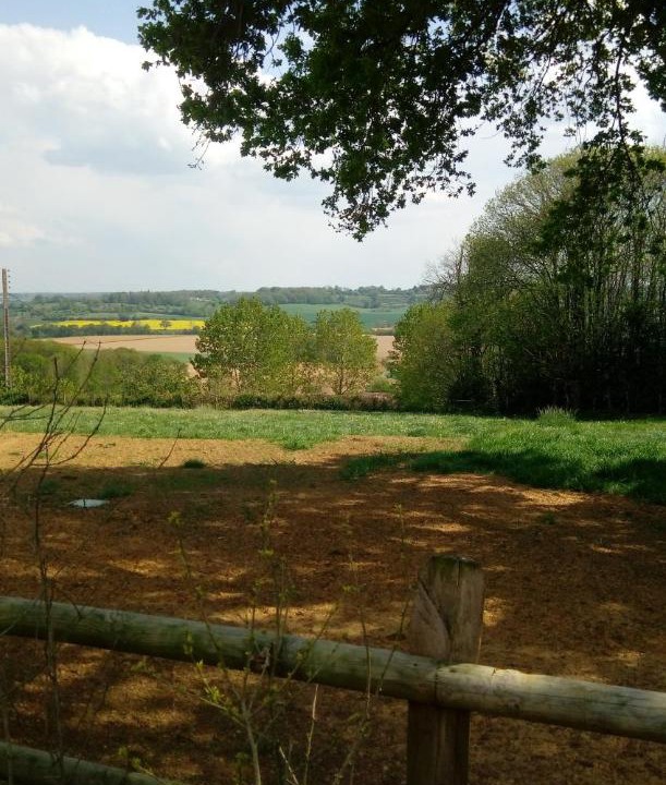 Photo of Others in Segrie