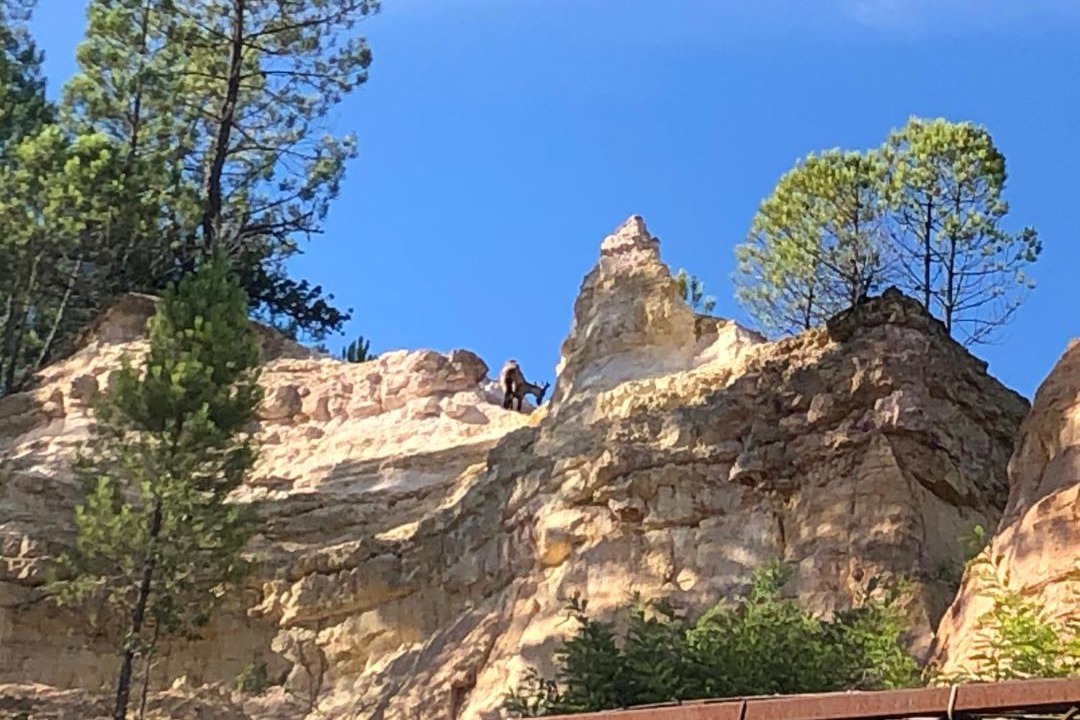 Photo of Others in Rustrel