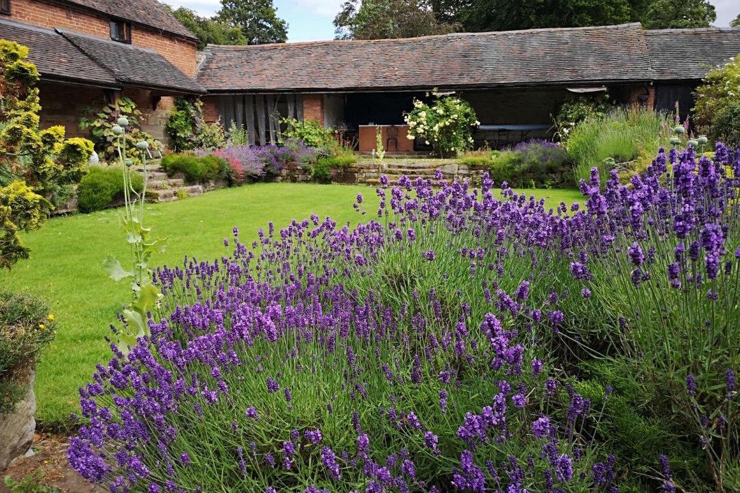 Photo of Others in Albrighton