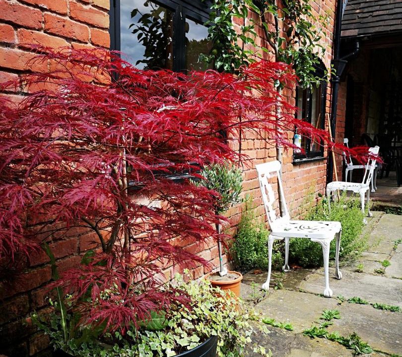 Photo of Others in Albrighton