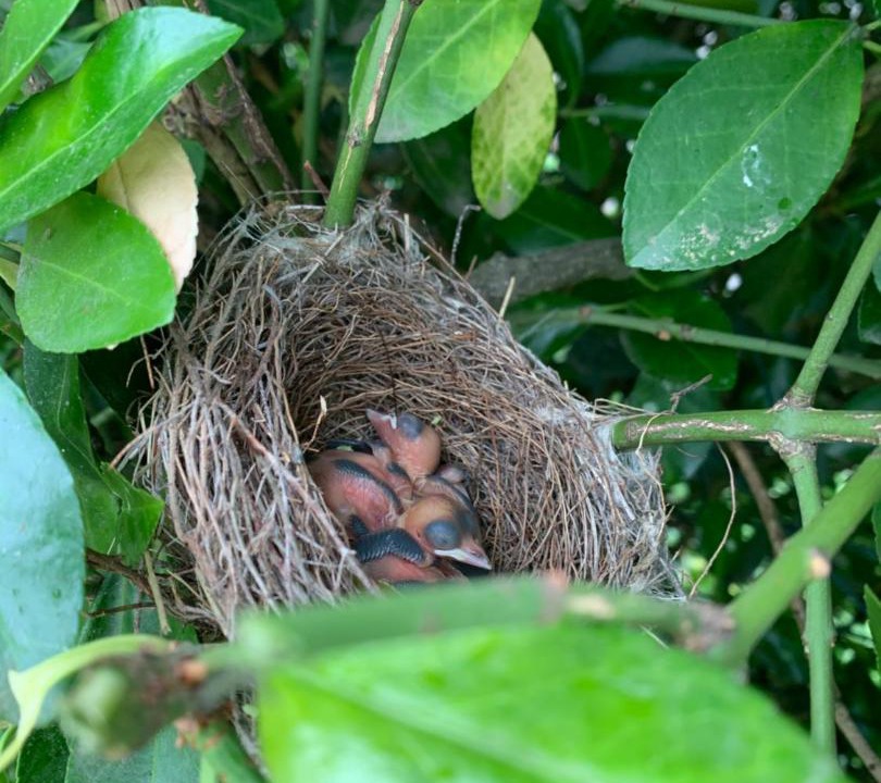 Photo of Others in Sainte-Terre