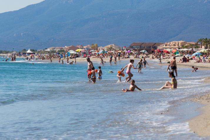 Photo of Human In Picture in Saint-Cyprien Plage