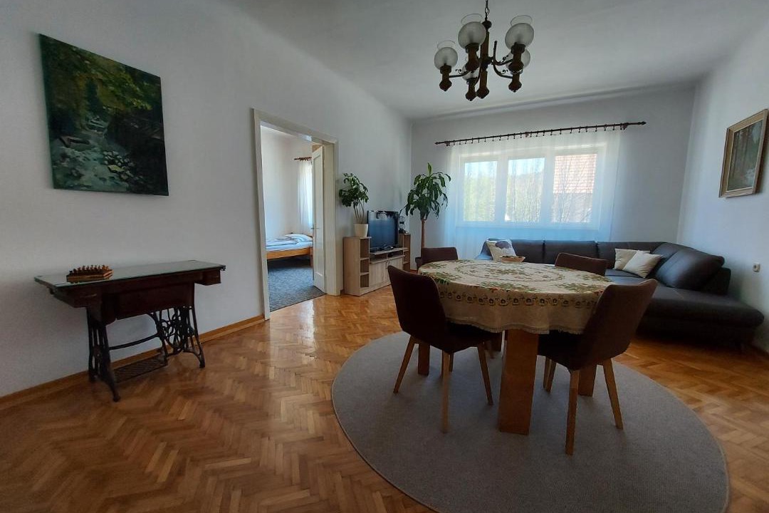 Photo of Livingroom in Delnice