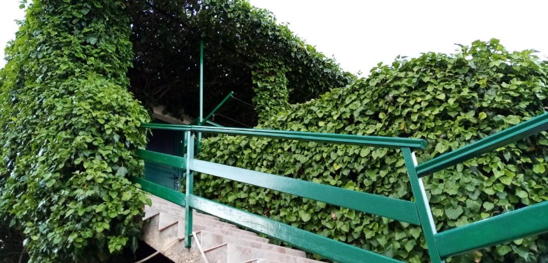 Photo of Outdoor in Bol