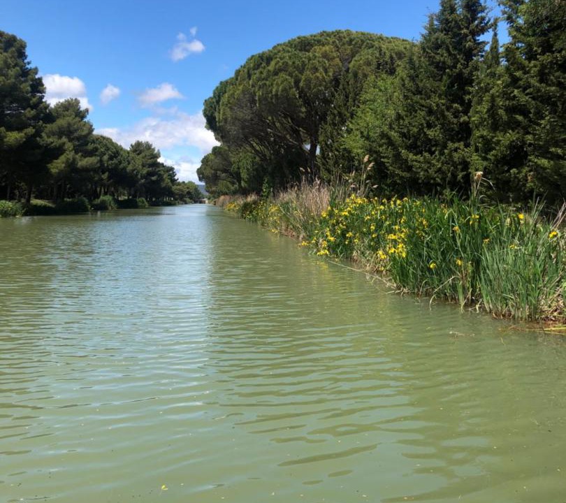 Photo of Others in Salleles-d'Aude