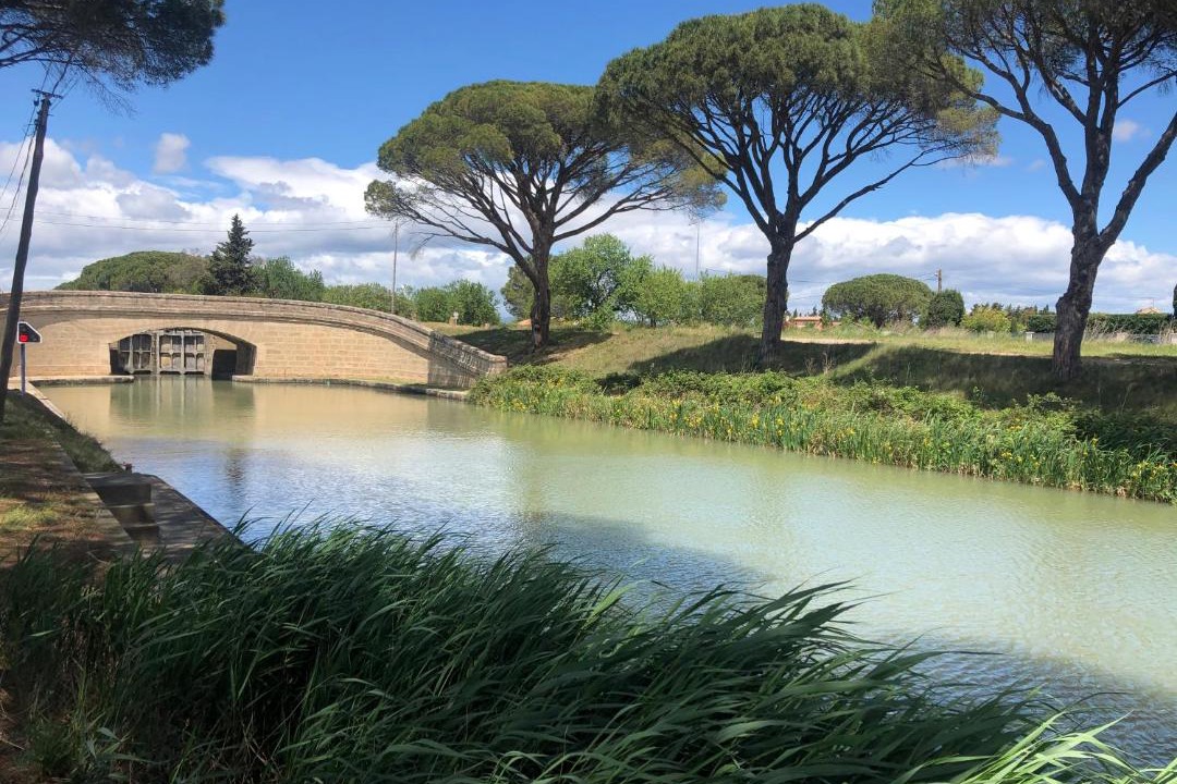 Photo of Others in Salleles-d'Aude