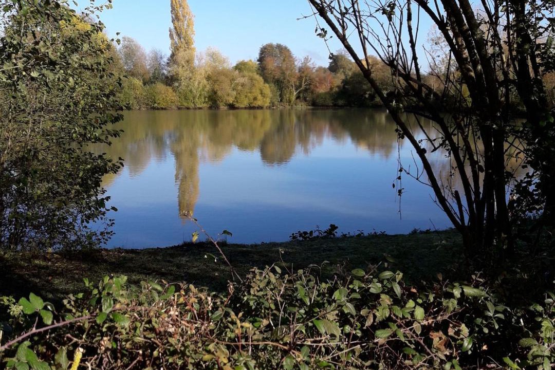 Photo of Outdoor in Bouere