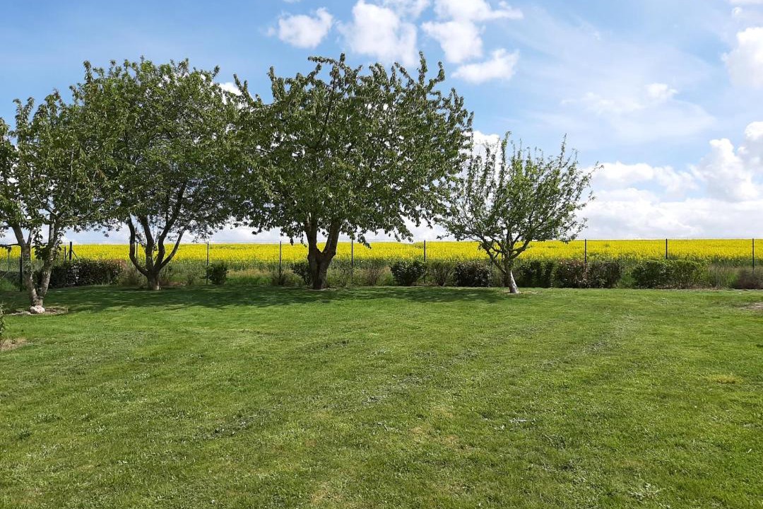 Photo of Others in Sommepy-Tahure