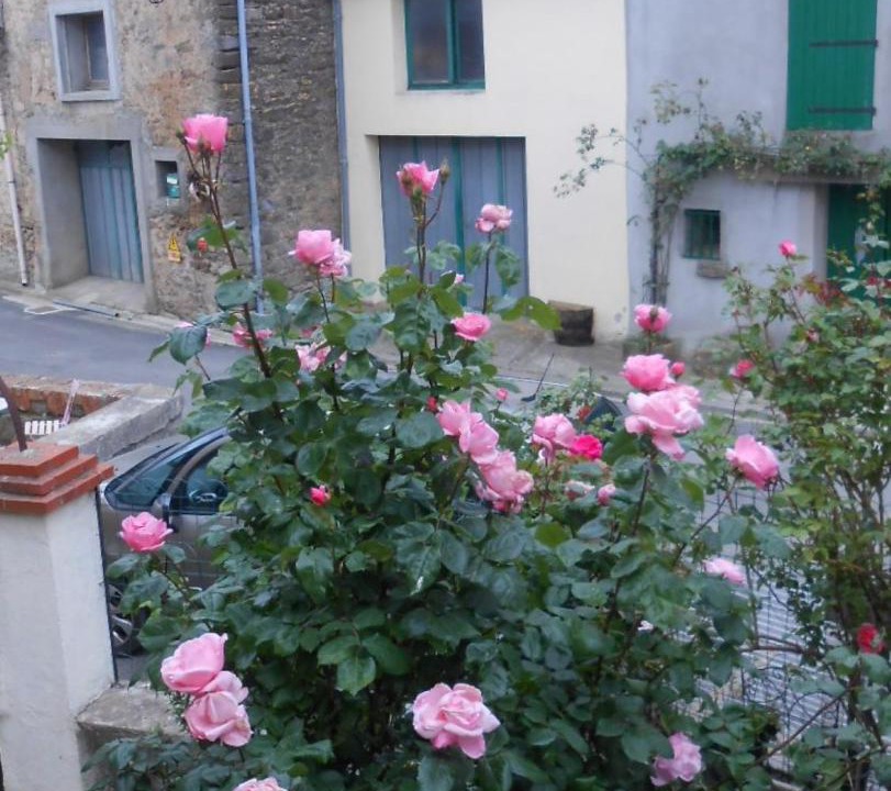 Photo of Others in Coustaussa