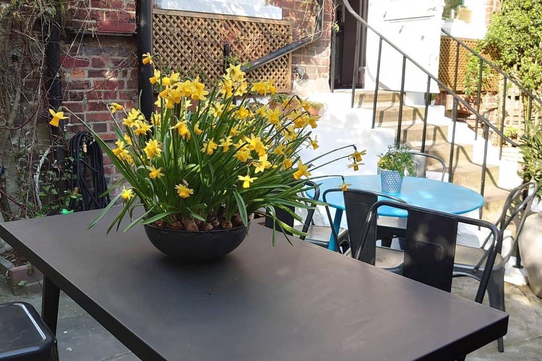 Photo of Others in Ash