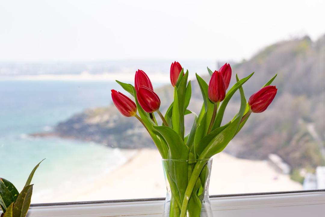 Photo of Others in St Ives