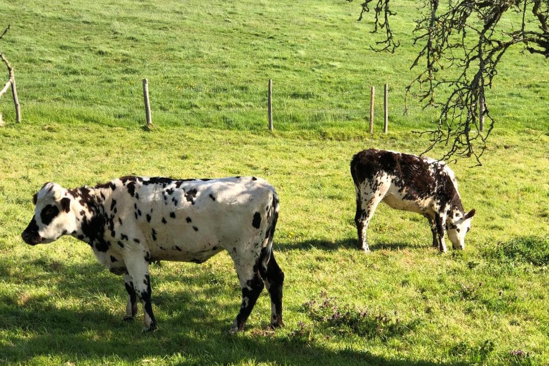 Photo of Others in Saint-Agnan-sur-Sarthe