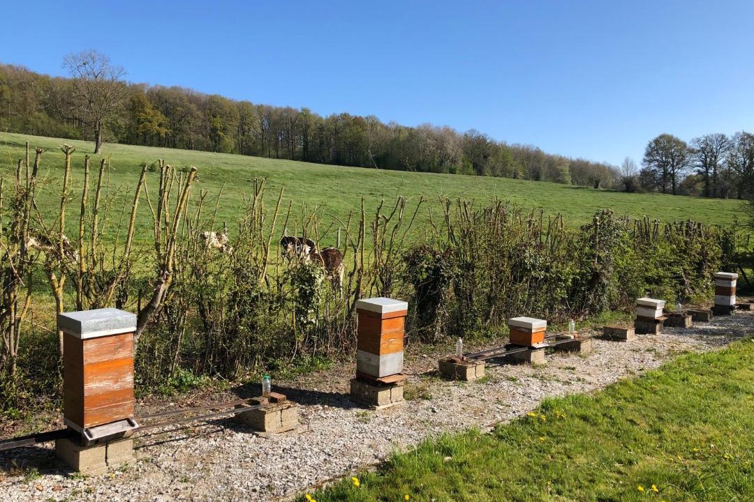 Photo of Others in Saint-Agnan-sur-Sarthe