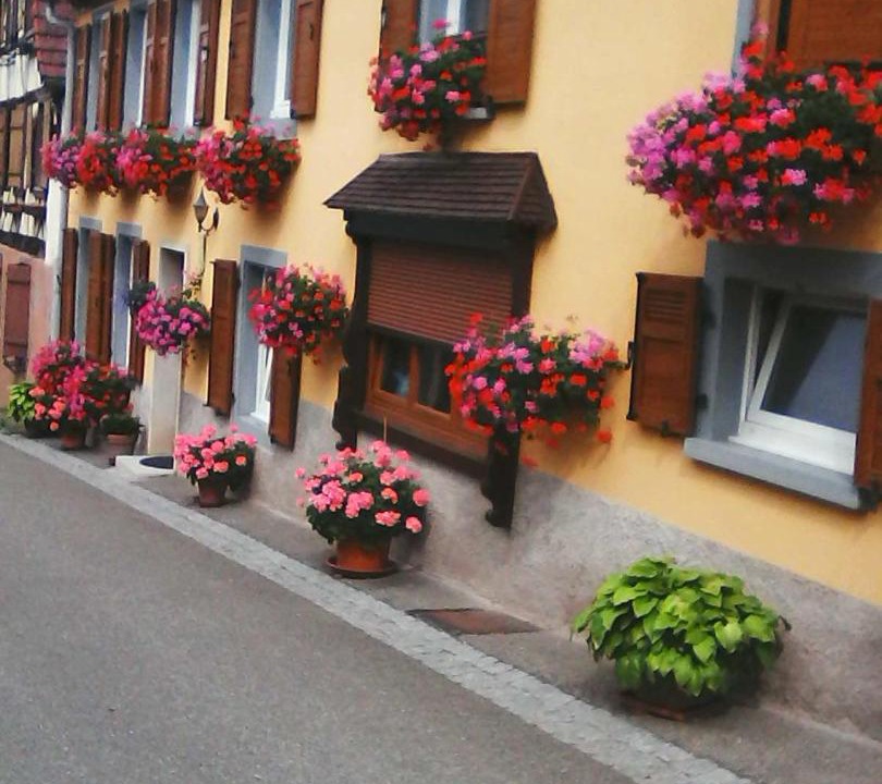 Photo of Others in Romanswiller