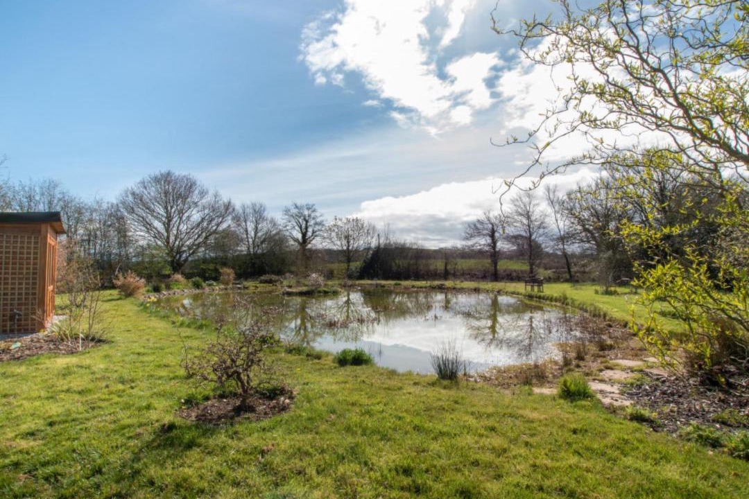 Photo of Others in Sheepwash