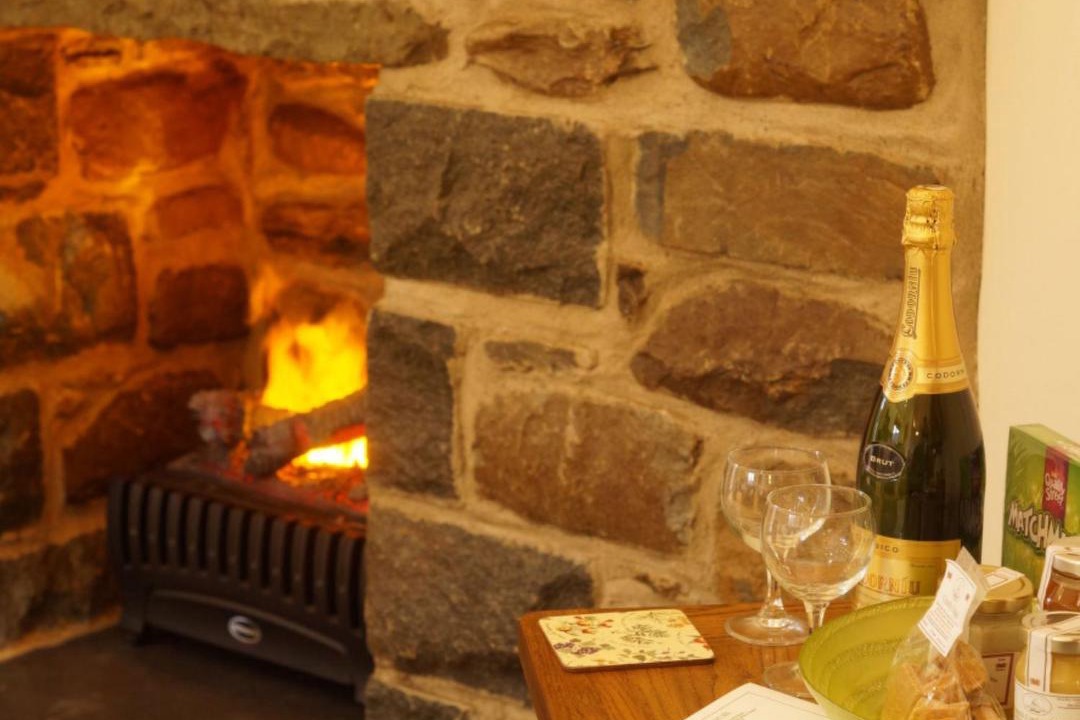 Photo of Livingroom in Talybont