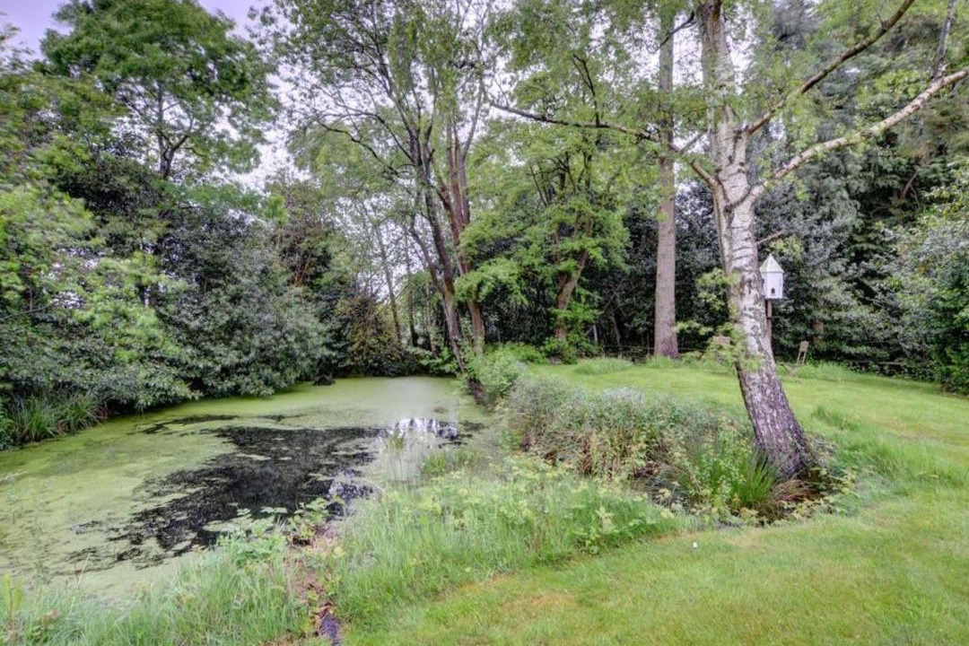 Photo of Others in Cranbrook