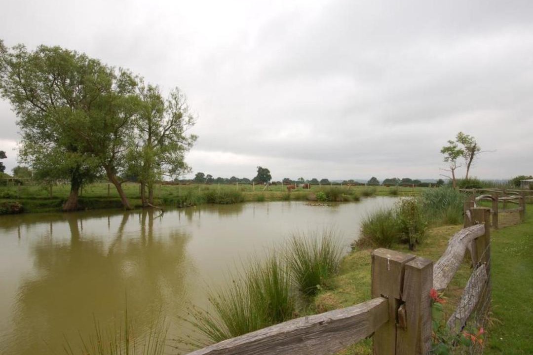 Photo of Outdoor in Cranbrook