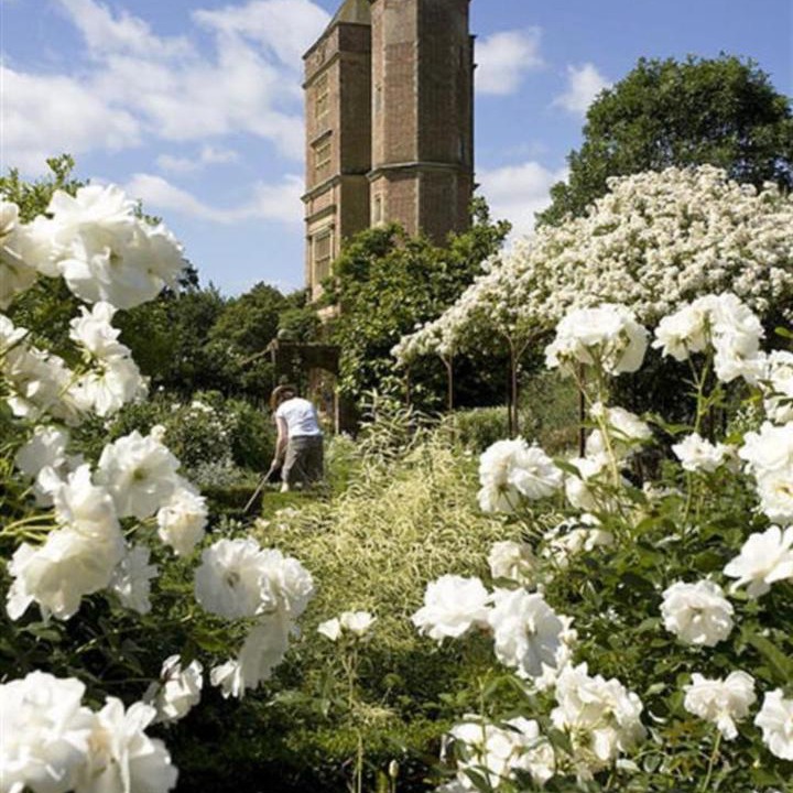 Photo of Others in Cranbrook