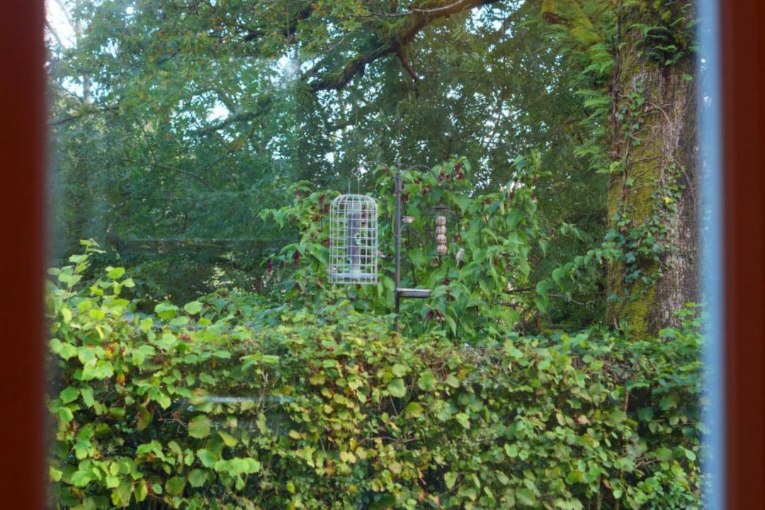 Photo of Others in Machynlleth