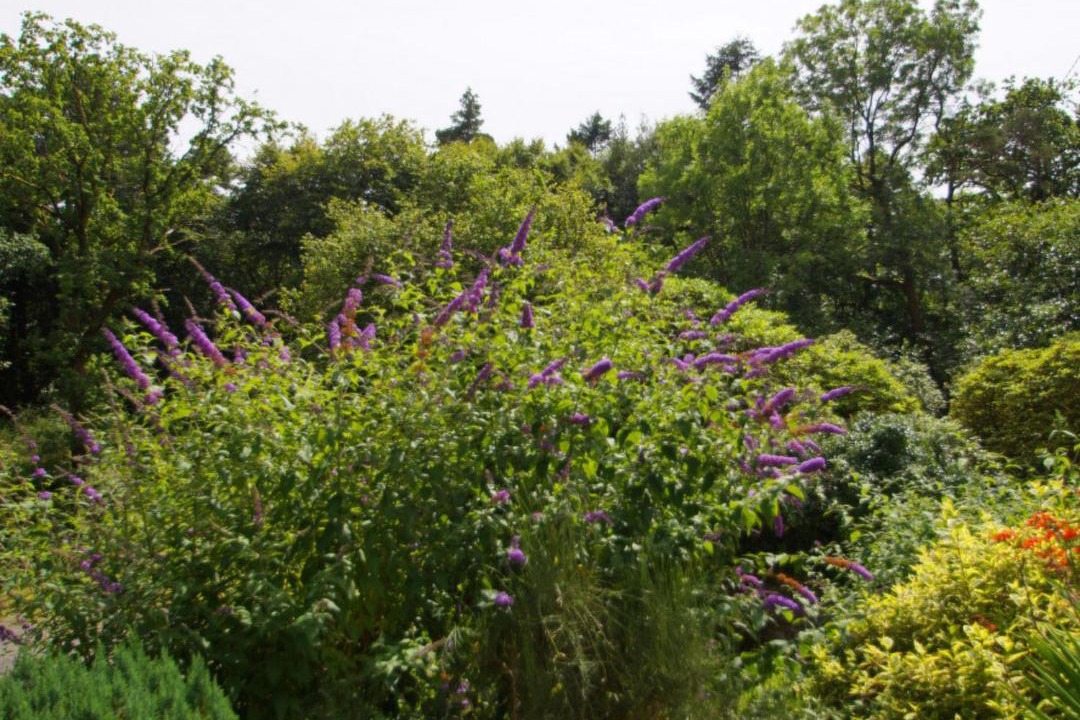 Photo of Outdoor in Machynlleth