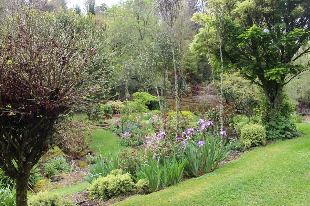 Photo of Others in Aria