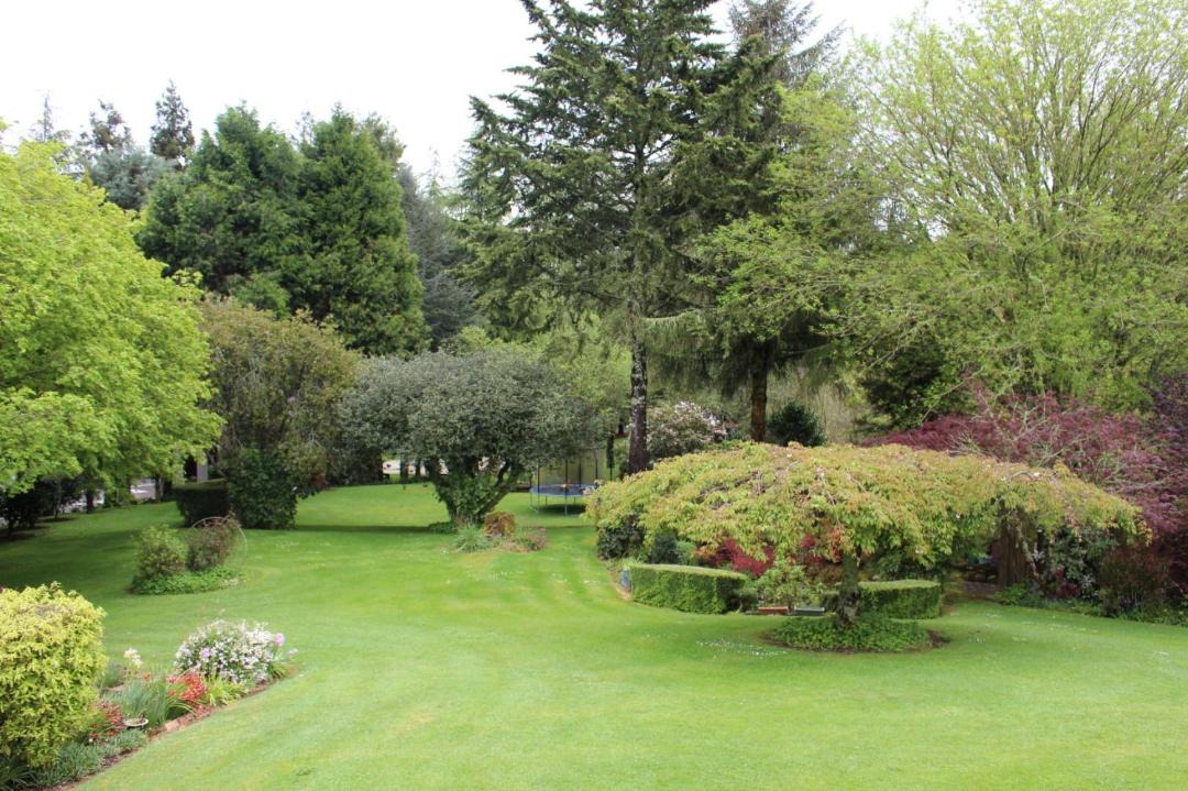 Photo of Others in Aria