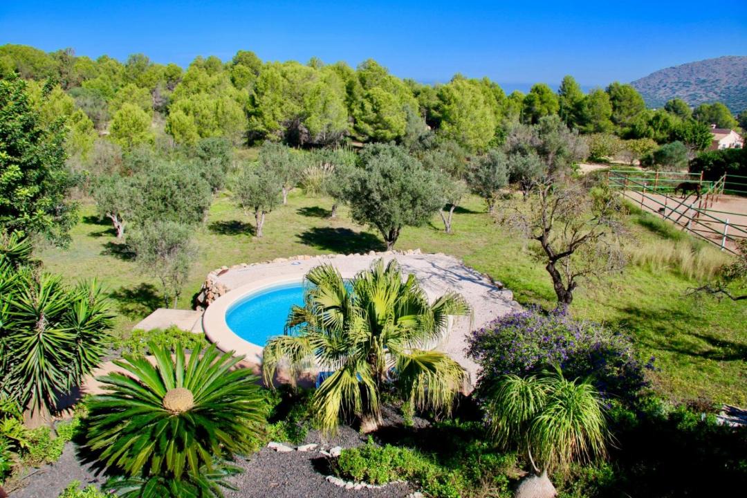 Photo of Outdoor in Pedreguer