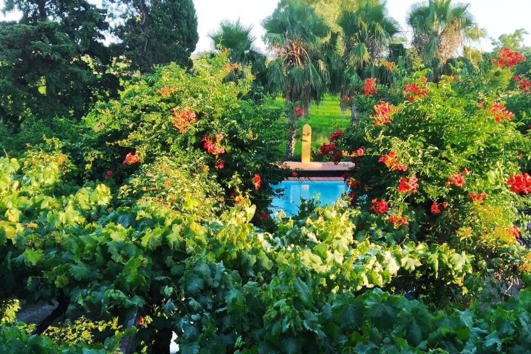 Photo of Outdoor in L'Aldea