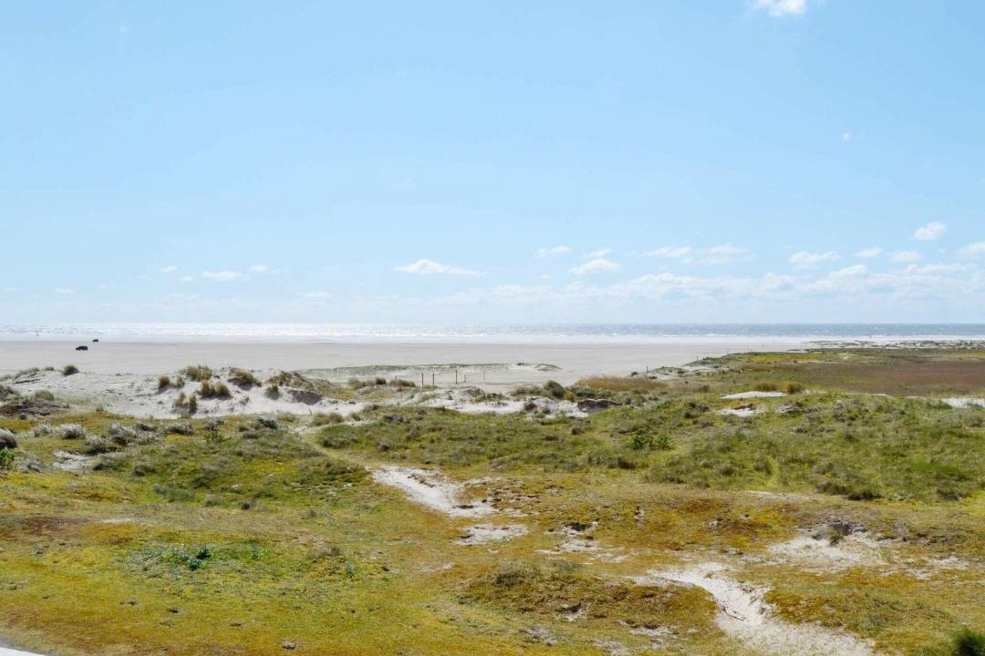 Photo of Others in Rindby Strand