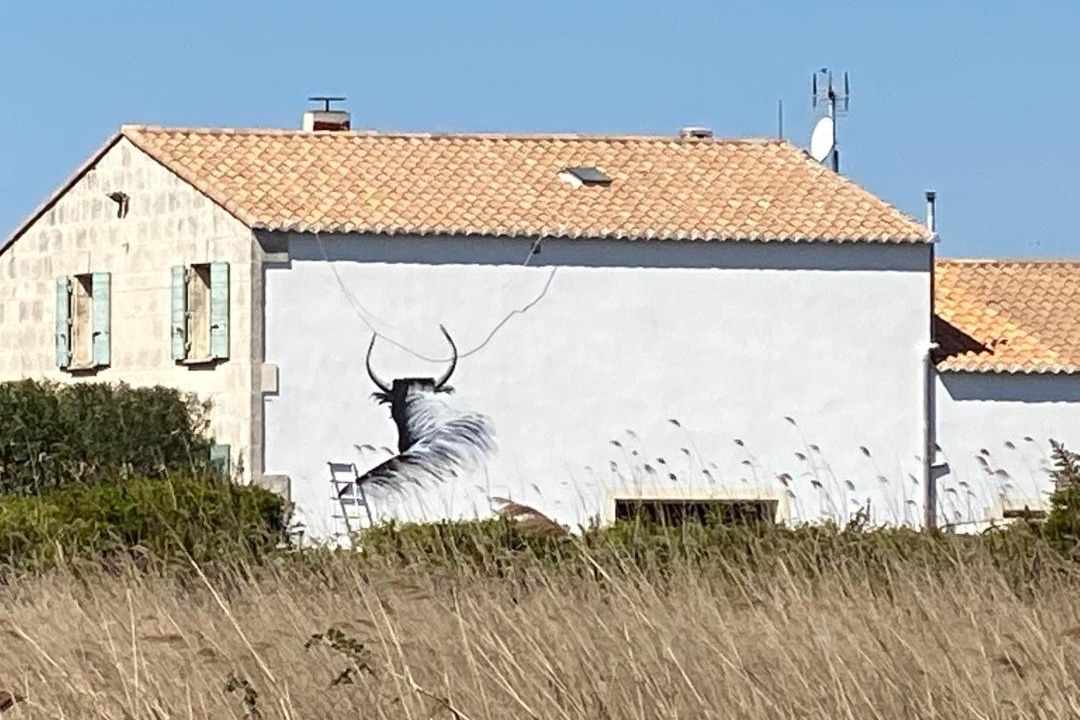 Photo of Others in Saintes-Maries-de-la-Mer
