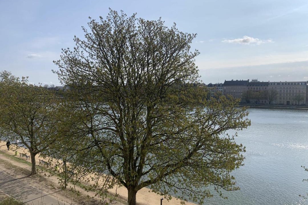 Photo of Others in Norrebro