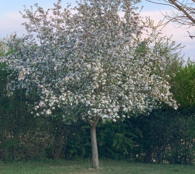 Photo of Others in Orval