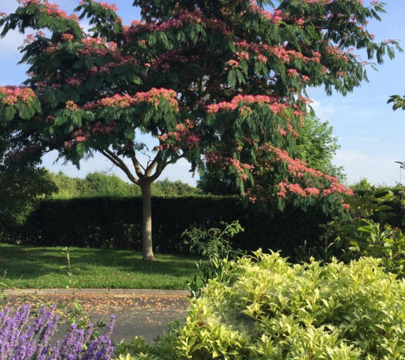 Photo of Others in Orval