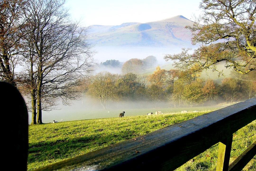 Photo of Others in Hope