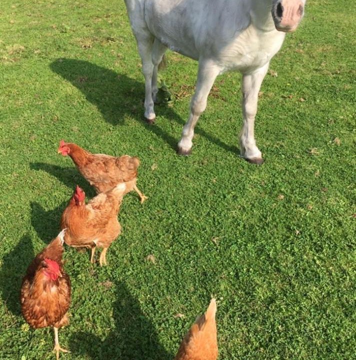 Photo of Others in Churchtown